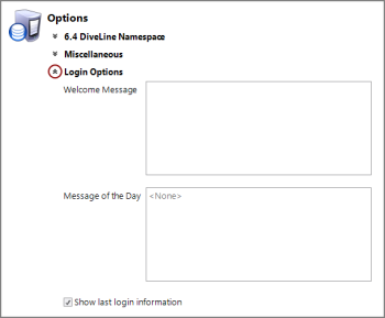Example of the Login Options section of the Server Settings.